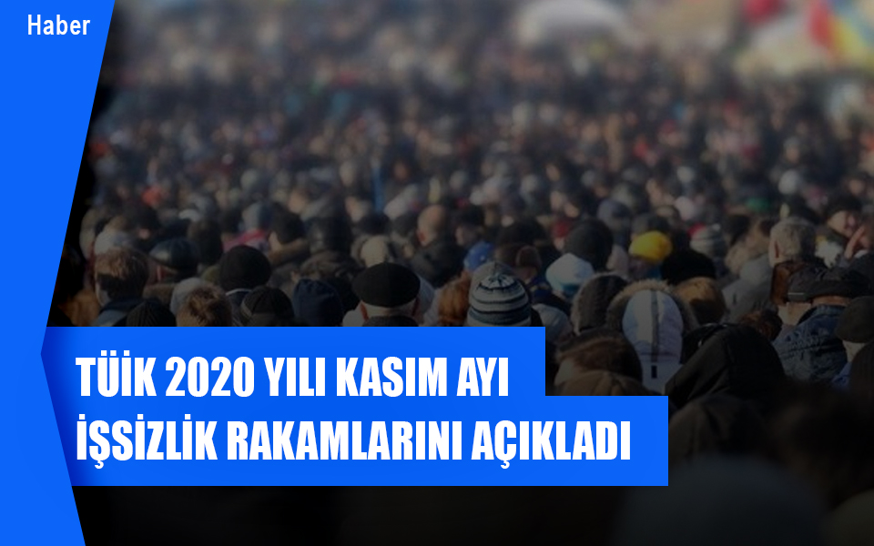 813210TÜİK 2020 yılı Kasım ayı işsizlik rakamlarını açıkladı.jpg